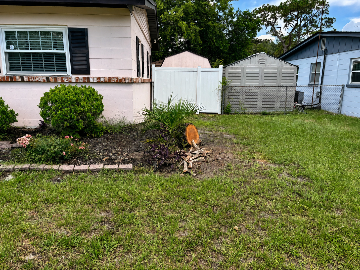 After Palm Tree Removal