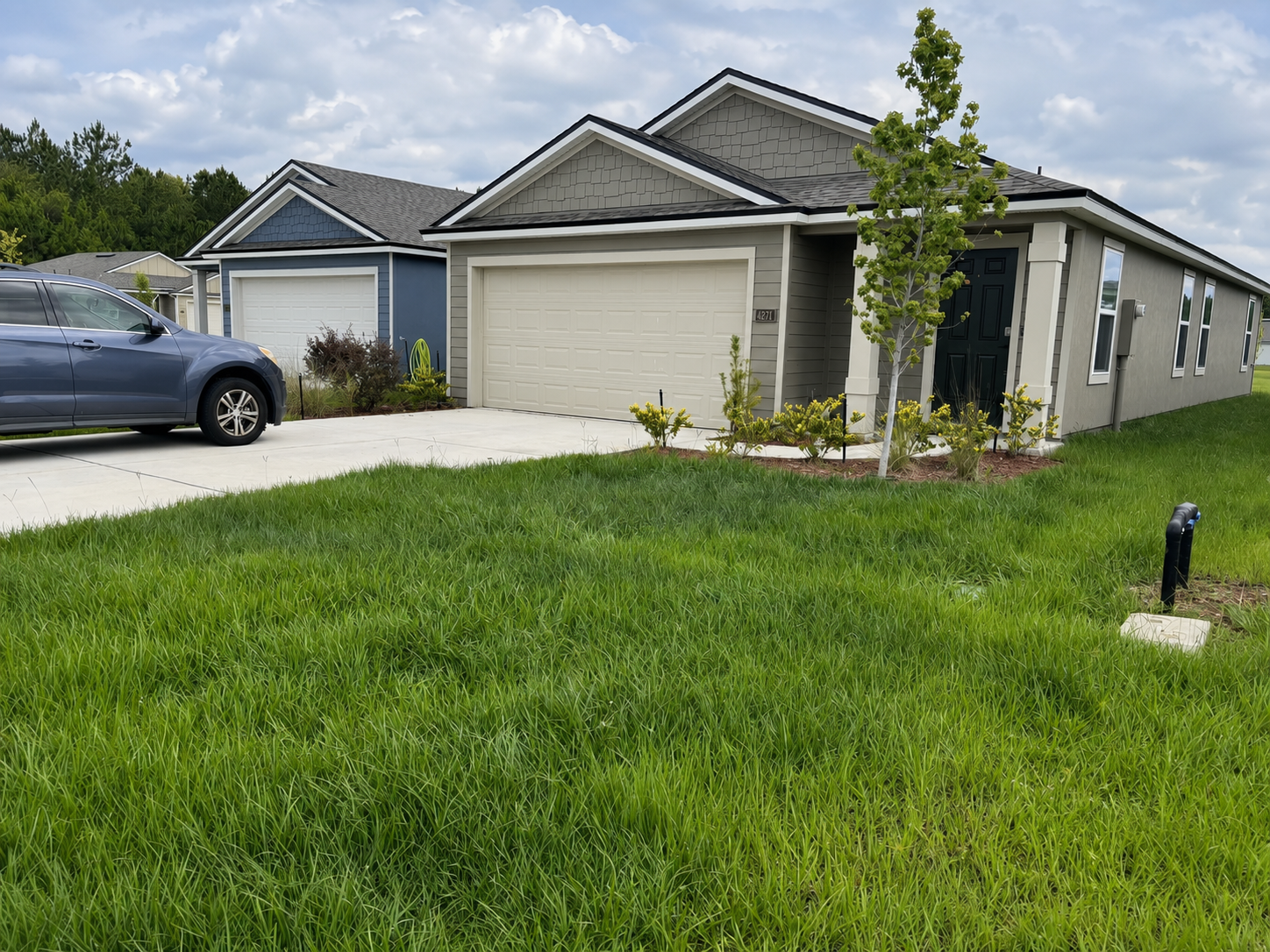 Before Lawn Care