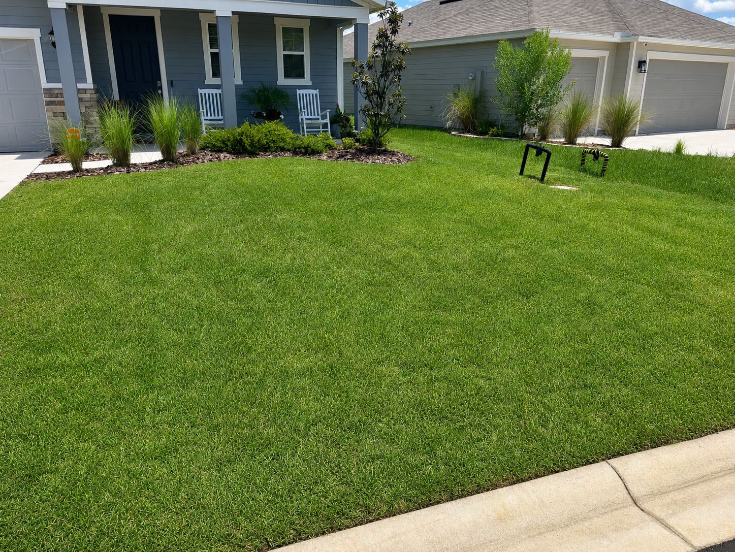 After Lawn Care