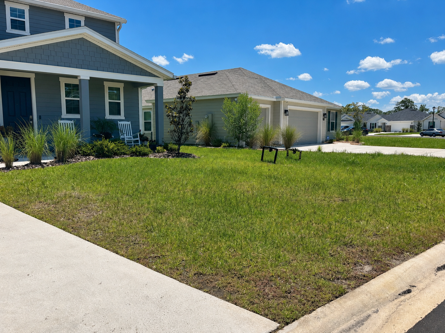Before Lawn Care