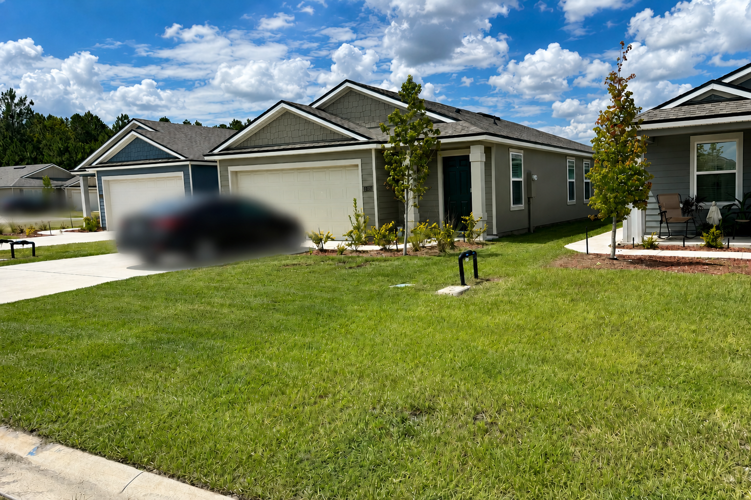 After Lawn Care