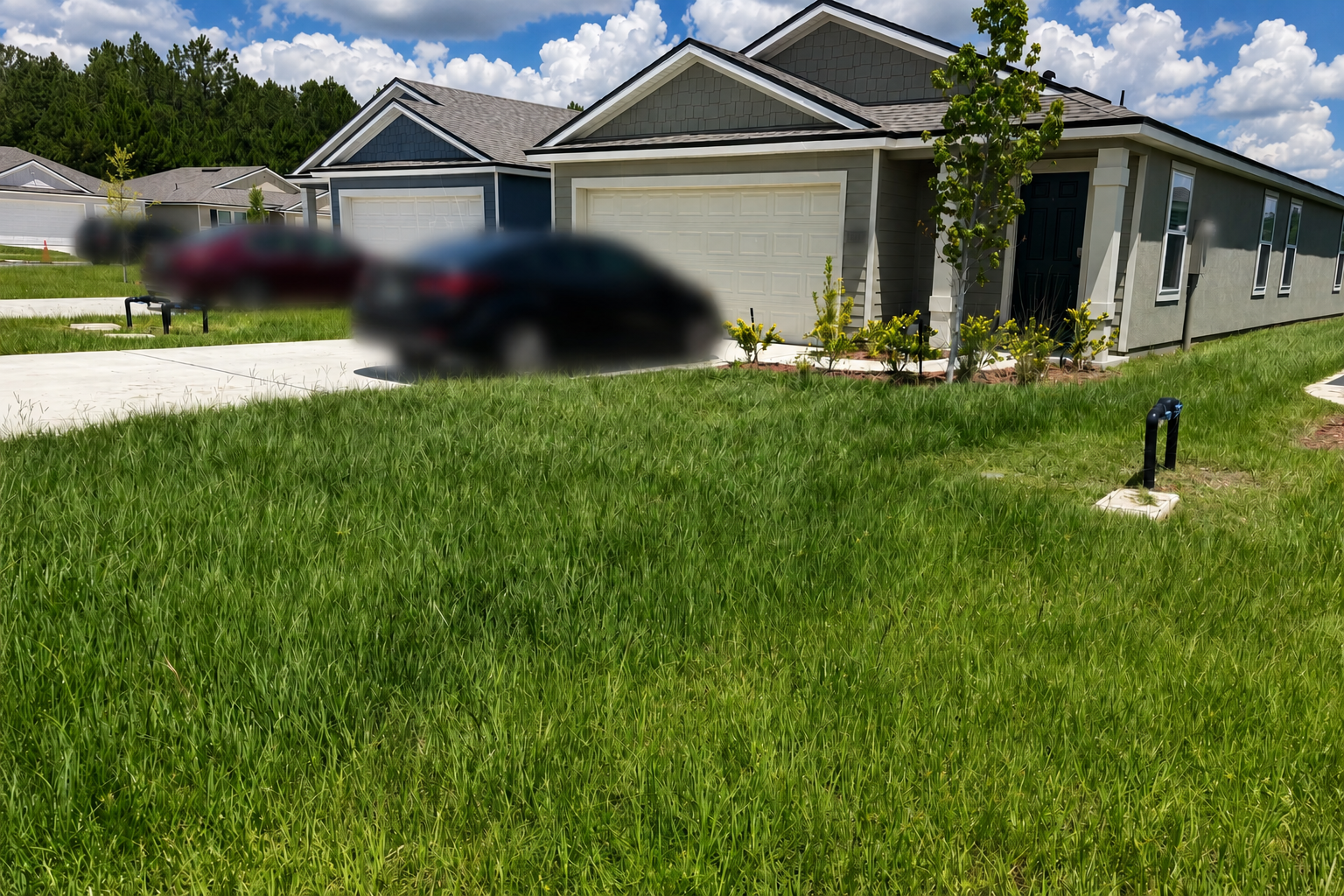 Before Lawn Care
