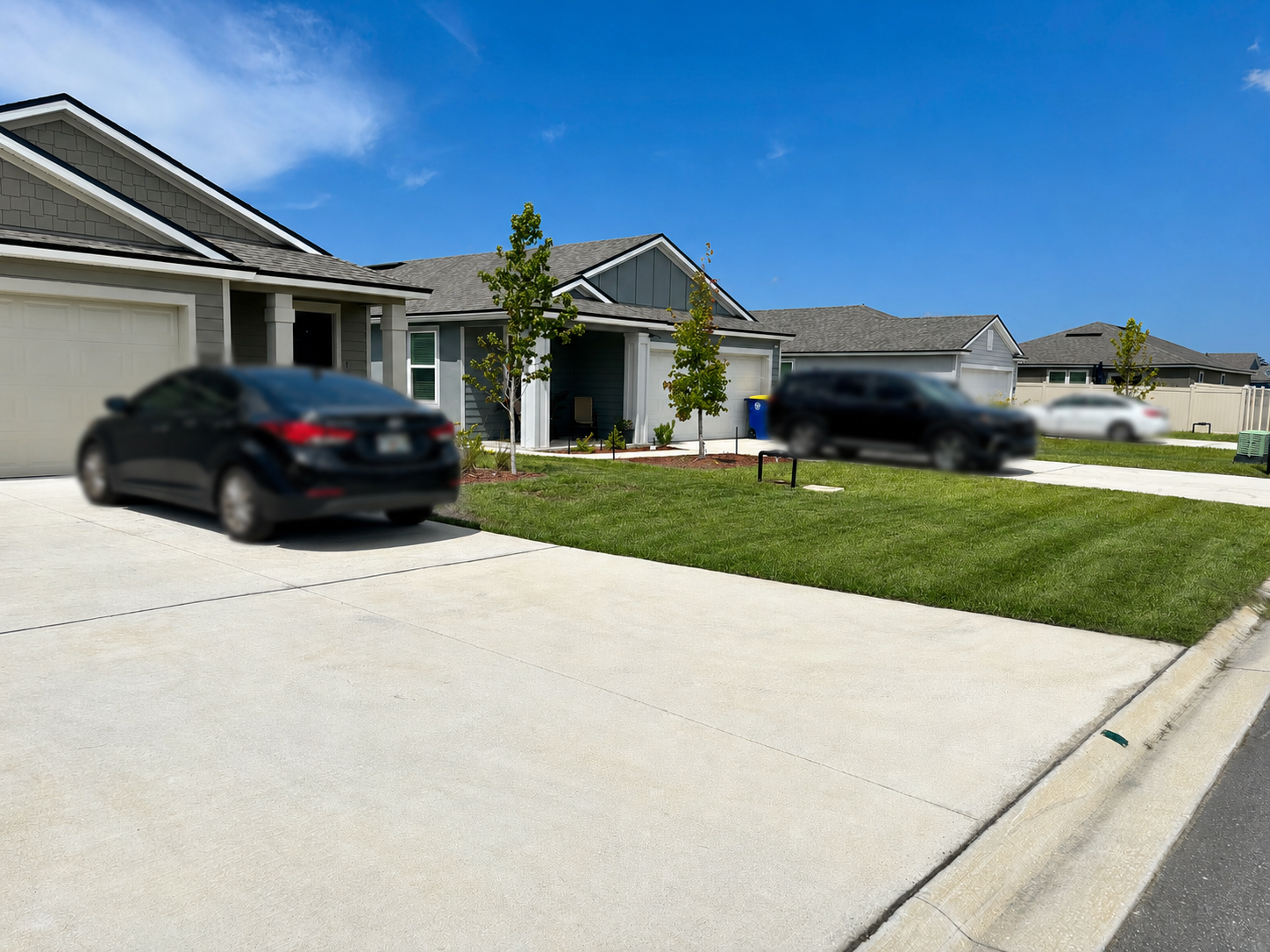 After Lawn Care