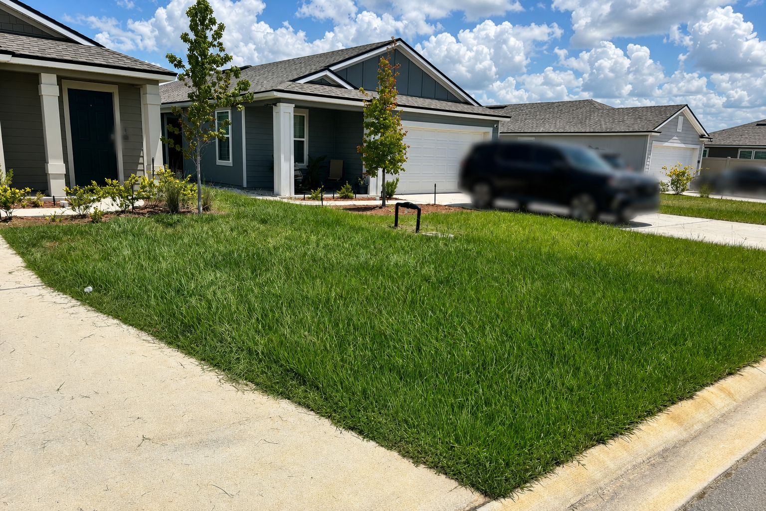 Before Lawn Care